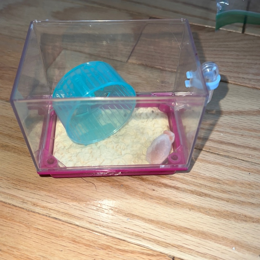 American girl doll hamster